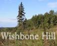 Wishbone Hill restoration video